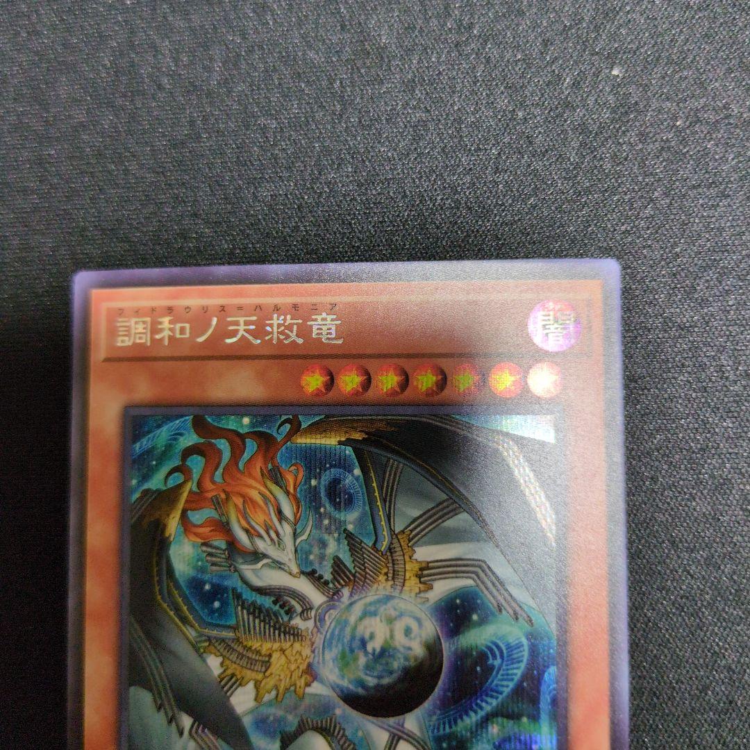 調和ノ天救竜　　シク