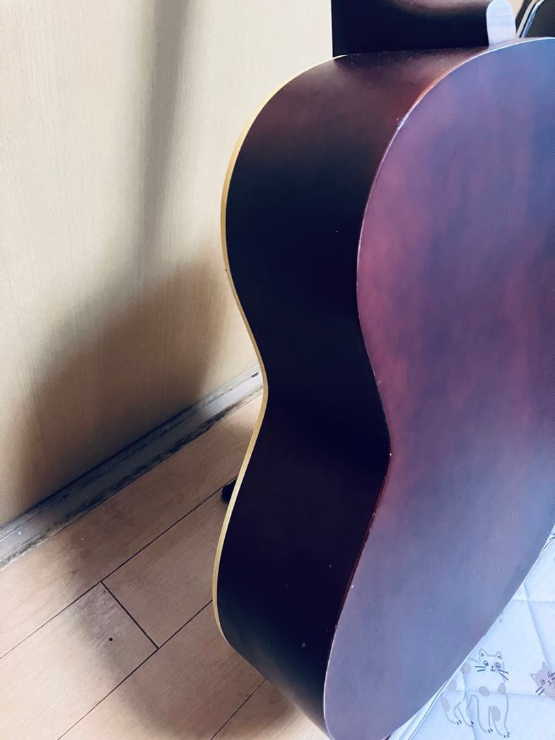 seagull S6 fork カナダ中堅モデルケース付きハンドメイドギター
