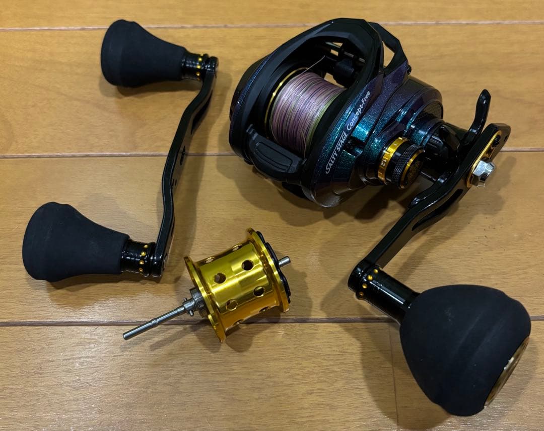 Abu Garcia Salty Stage Concept-Free リール