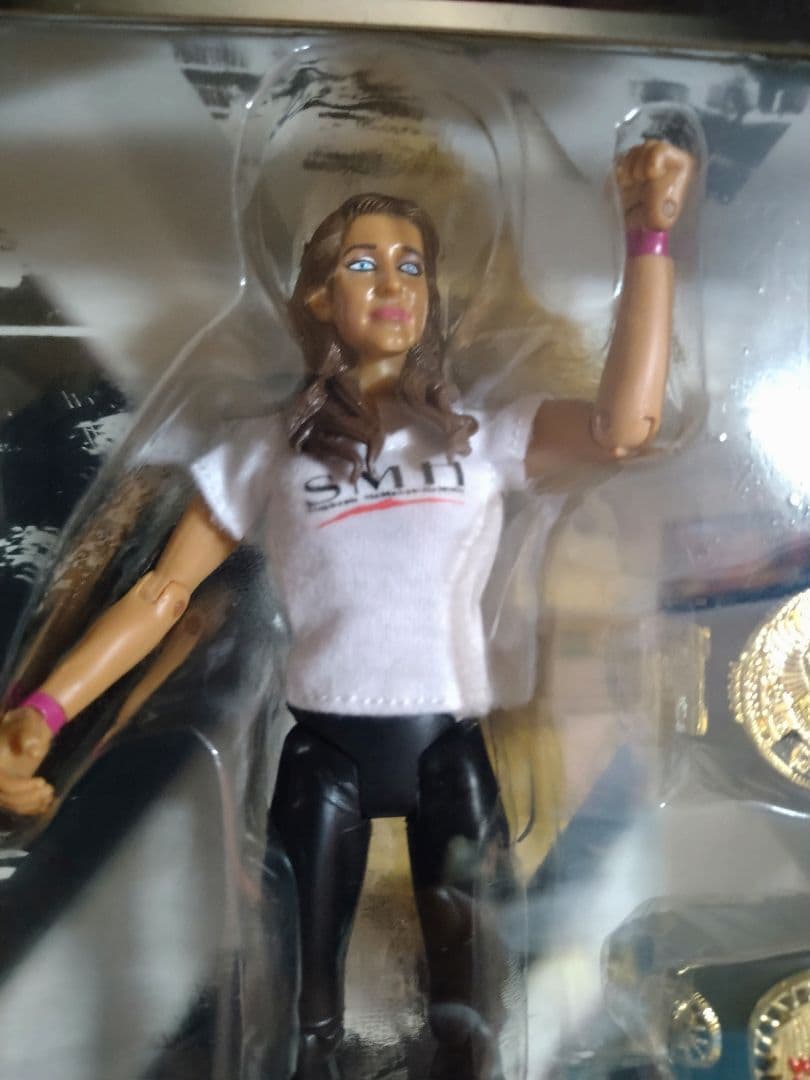 未開封　WWE クラシック！トリプルH&ステファニー．マクマホン2体セット！