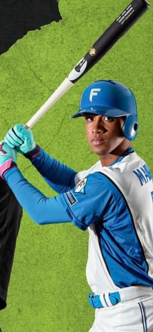 北海道日本ハムファイターズ　万波中世選手　#66 新品未使用　NPBバット