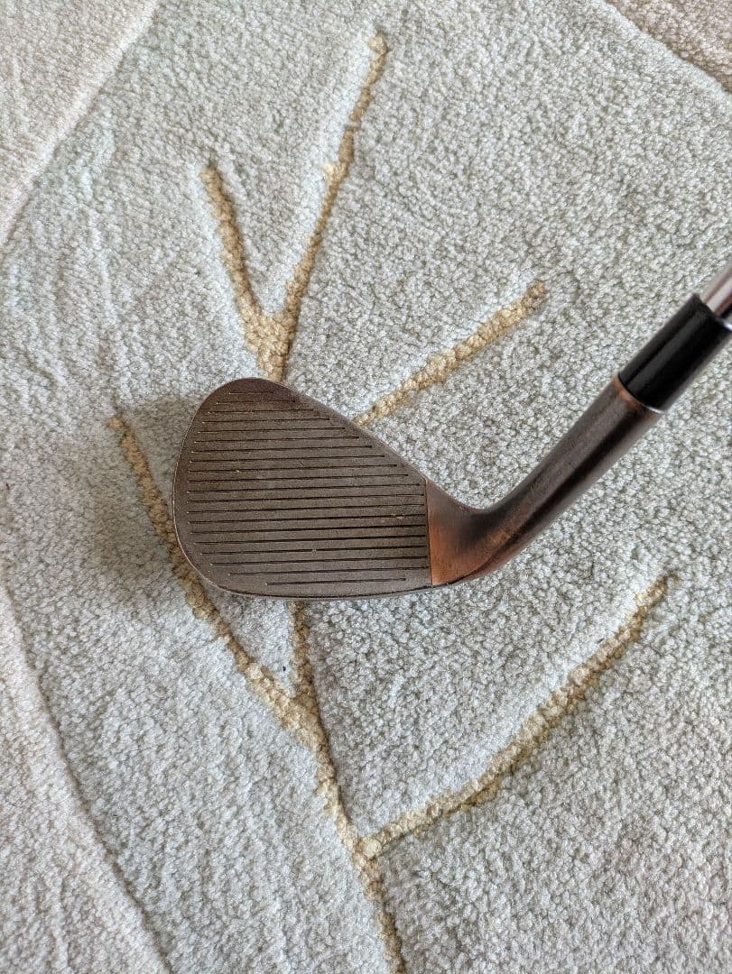 TayloMade HI-TOE ビッグフット60 ダイナミックゴールドS200