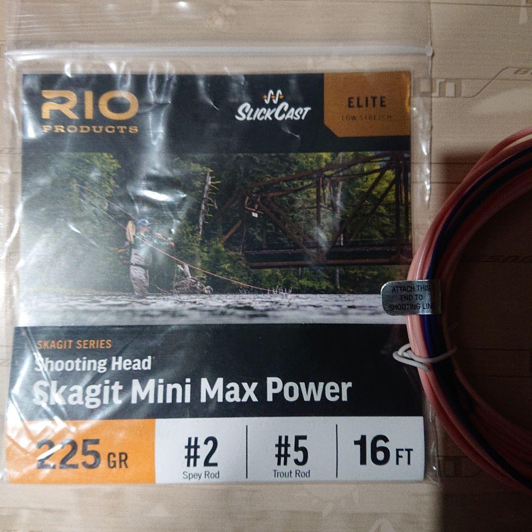 RIO スカジットミニマックスパワー　225gr