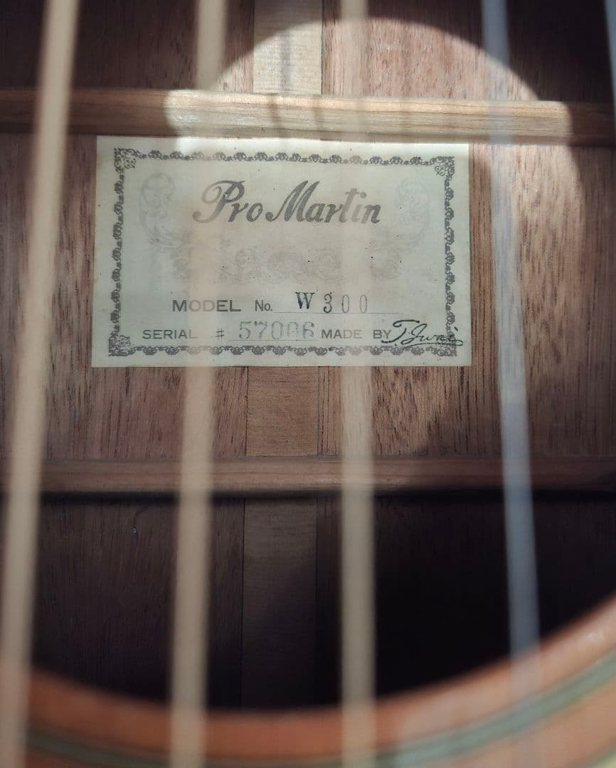 pro MARTIN プロマーチン W300