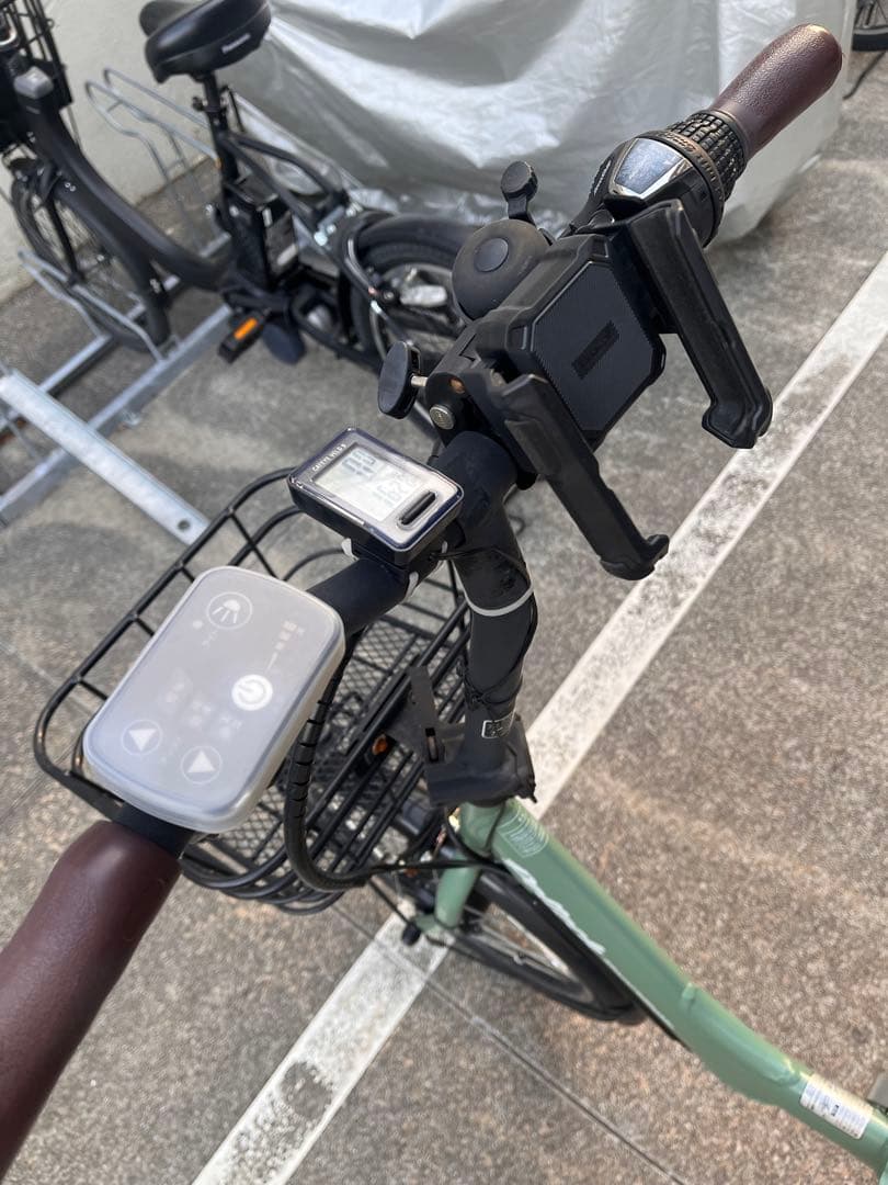 PELTECH ペルテック TDN-212L 折りたたみ電動自転車