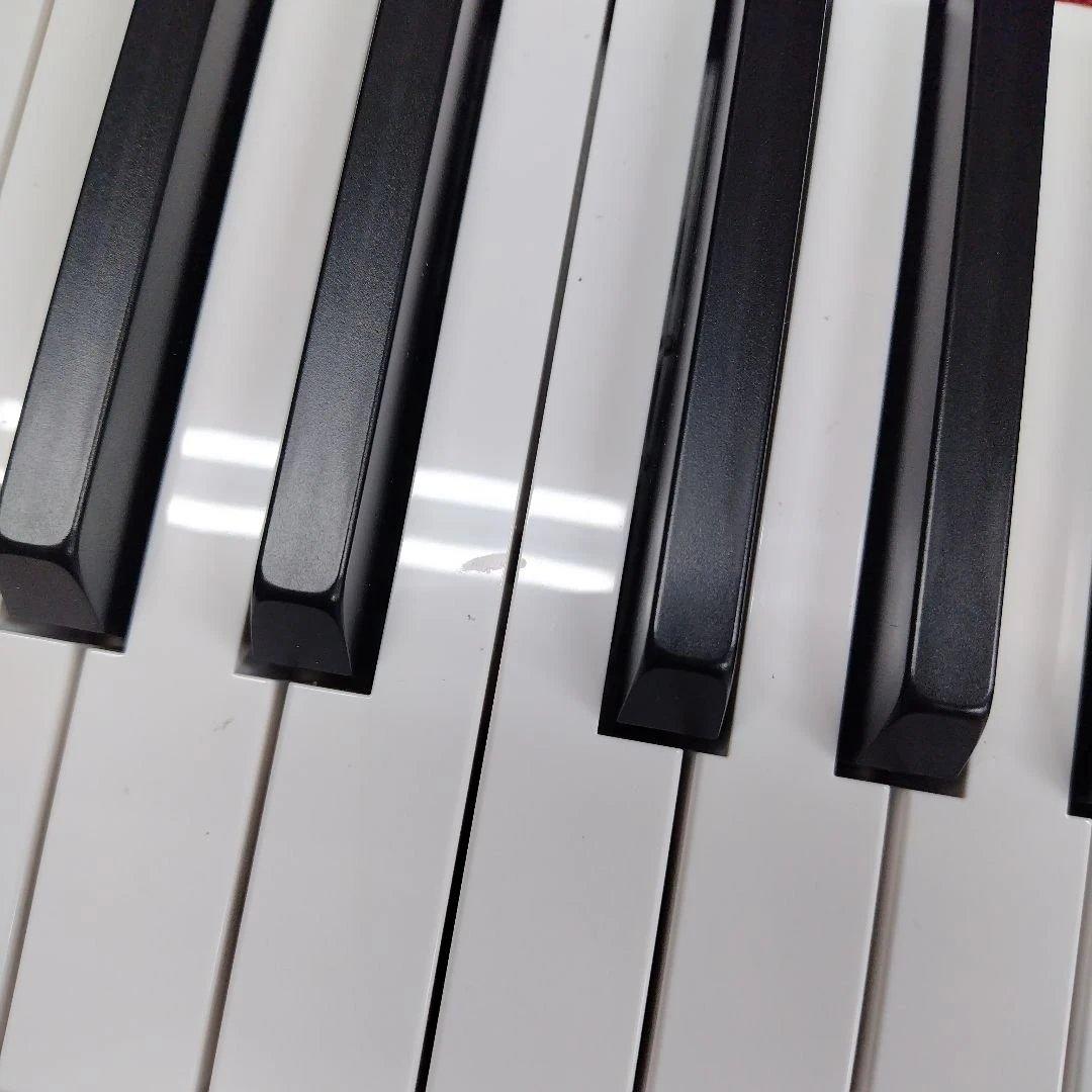 【関東配送相談可能】LP-380RW KORG