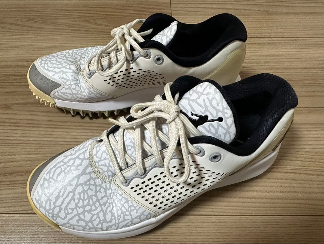 NIKE Air Jordan Trainer ST G ゴルフシューズ26㎝