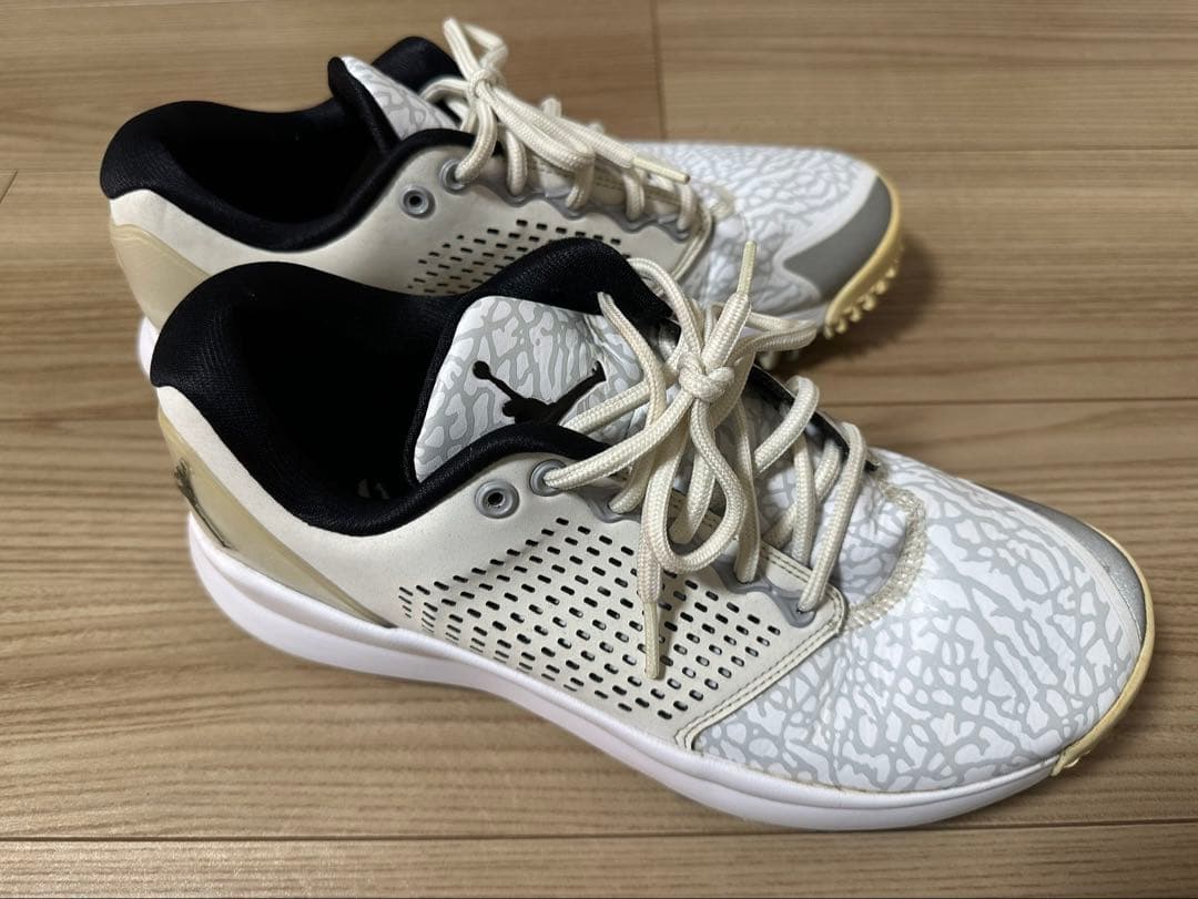 NIKE Air Jordan Trainer ST G ゴルフシューズ26㎝