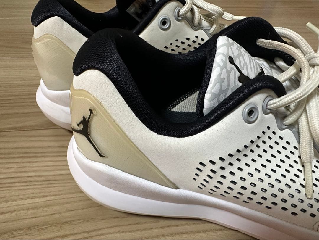 NIKE Air Jordan Trainer ST G ゴルフシューズ26㎝