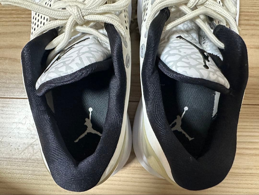 NIKE Air Jordan Trainer ST G ゴルフシューズ26㎝
