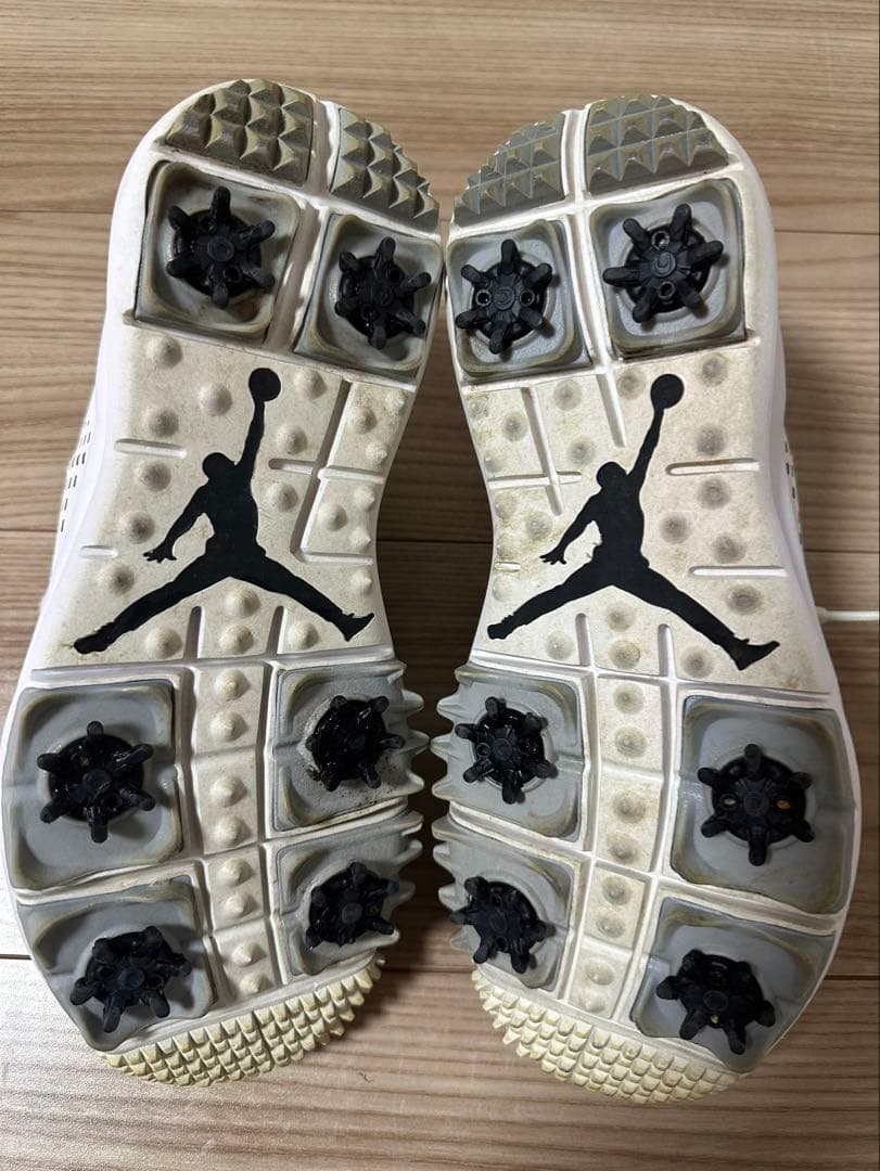 NIKE Air Jordan Trainer ST G ゴルフシューズ26㎝