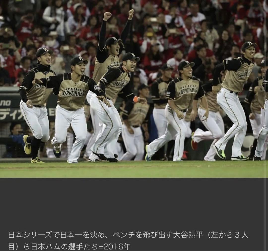 北海道日本ハムファイターズ　大谷翔平選手ユニフォーム　ビジターモデル　WBC
