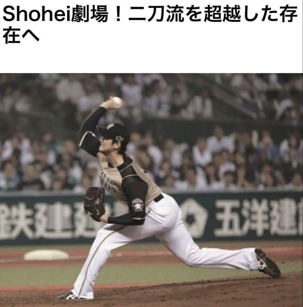 北海道日本ハムファイターズ　大谷翔平選手ユニフォーム　ビジターモデル　WBC