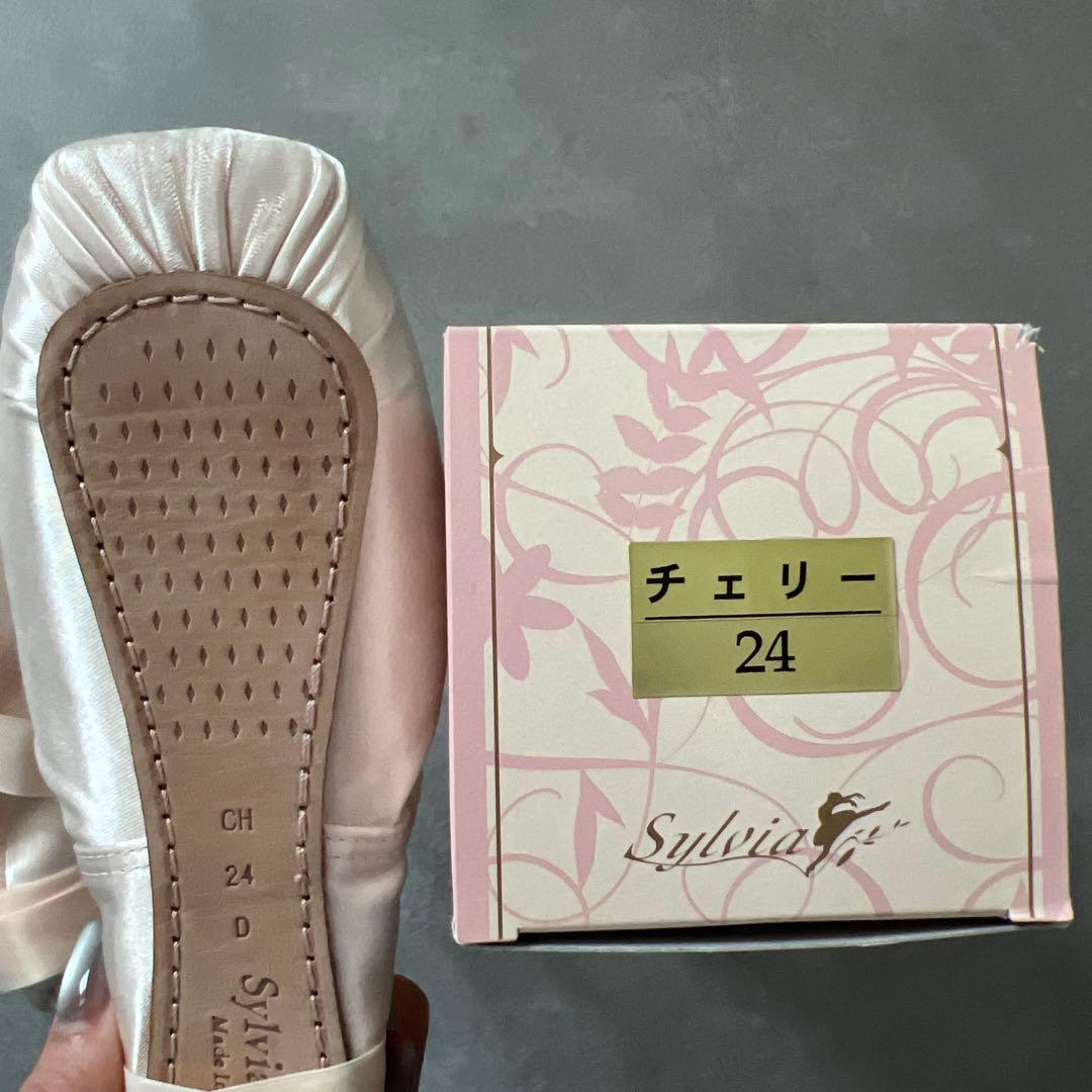 シルビア　チェリー24D