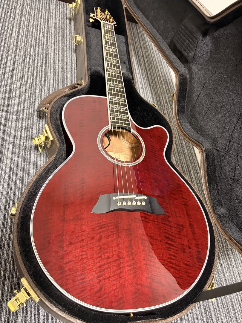 【美品】Takamine TDP181AC WR