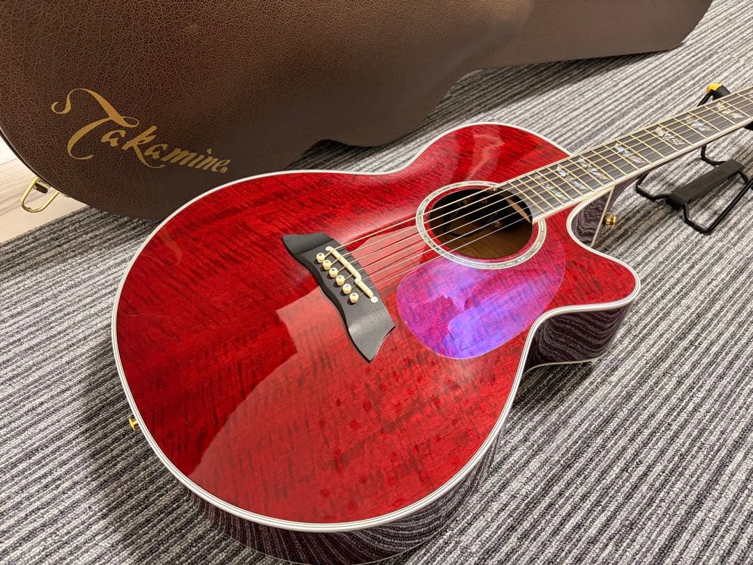 【美品】Takamine TDP181AC WR