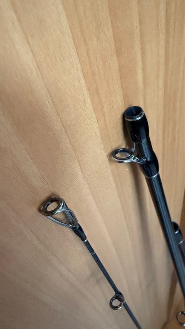 fishman beams lower 8.6L / ビームス　ローワー