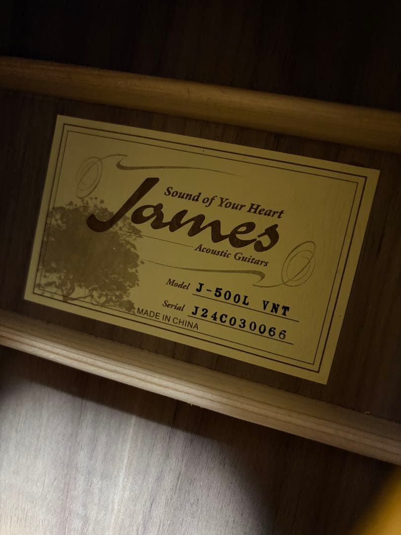 アコースティックギター James J-500L VNT ギターケース付き