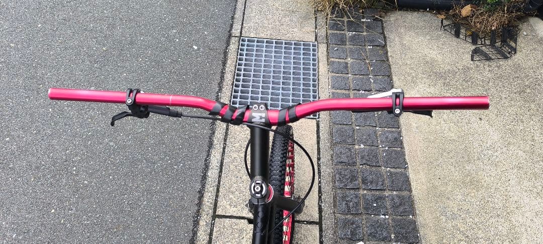 トライアル　エコー　20インチ　ECHO TrialBike