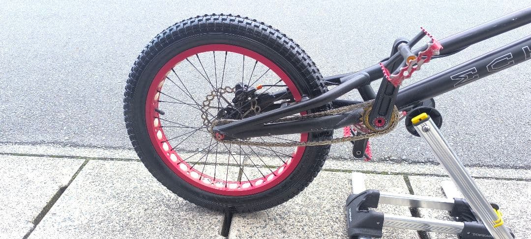 トライアル　エコー　20インチ　ECHO TrialBike
