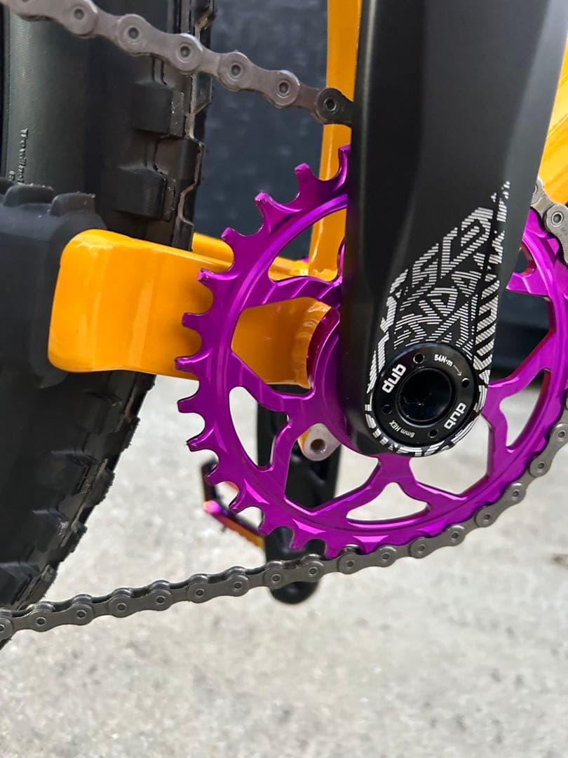 ① SANTA CRUZ chameleon カメレオン　サンタクルーズ　極美品