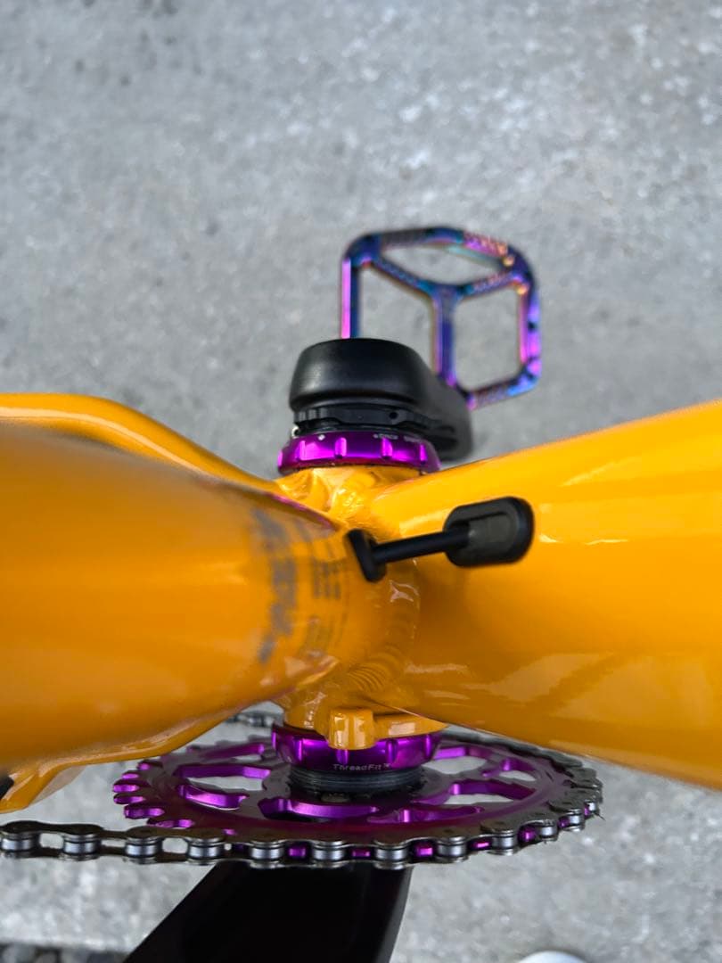 ① SANTA CRUZ chameleon カメレオン　サンタクルーズ　極美品