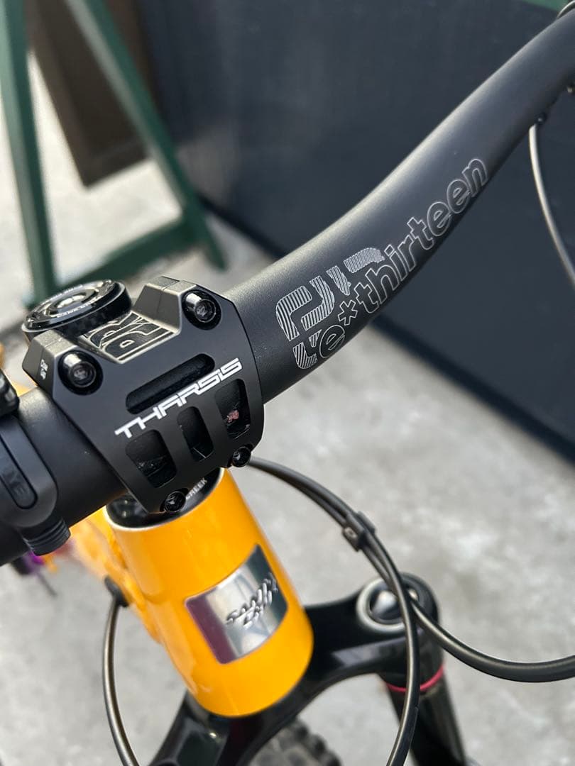 ① SANTA CRUZ chameleon カメレオン　サンタクルーズ　極美品
