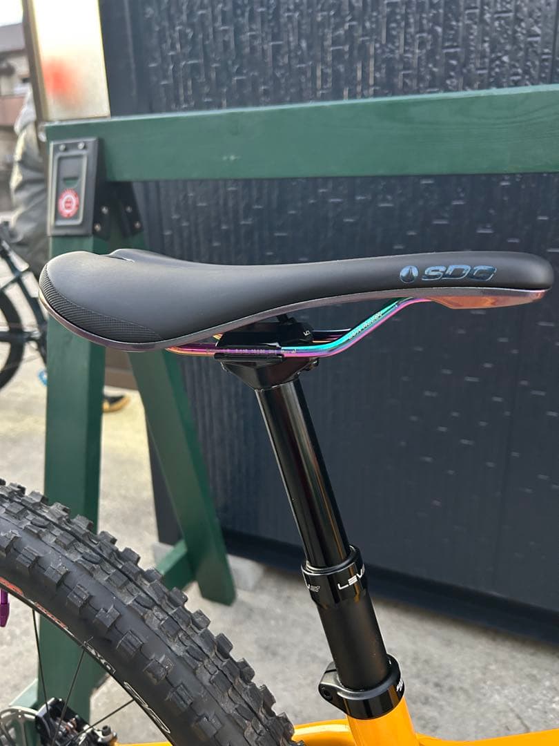 ① SANTA CRUZ chameleon カメレオン　サンタクルーズ　極美品