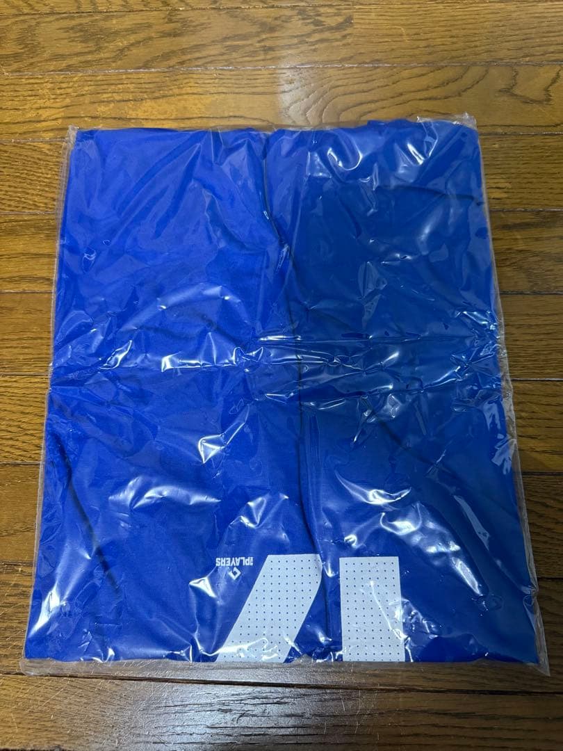 NIKE ドジャース 大谷翔平 2024 WS優勝記念 Tシャツ　Lサイズ
