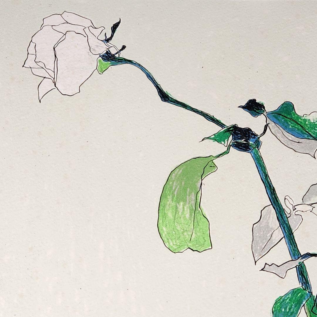Y3452-10 CRISTI（クリスティ）「2本の薔薇」リトグラフ