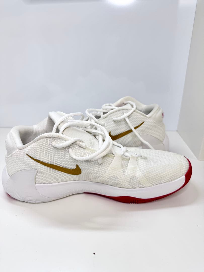 NIKE ズームフリーク1 ヤニス バッシュ 白金 人気 BQ5422-100