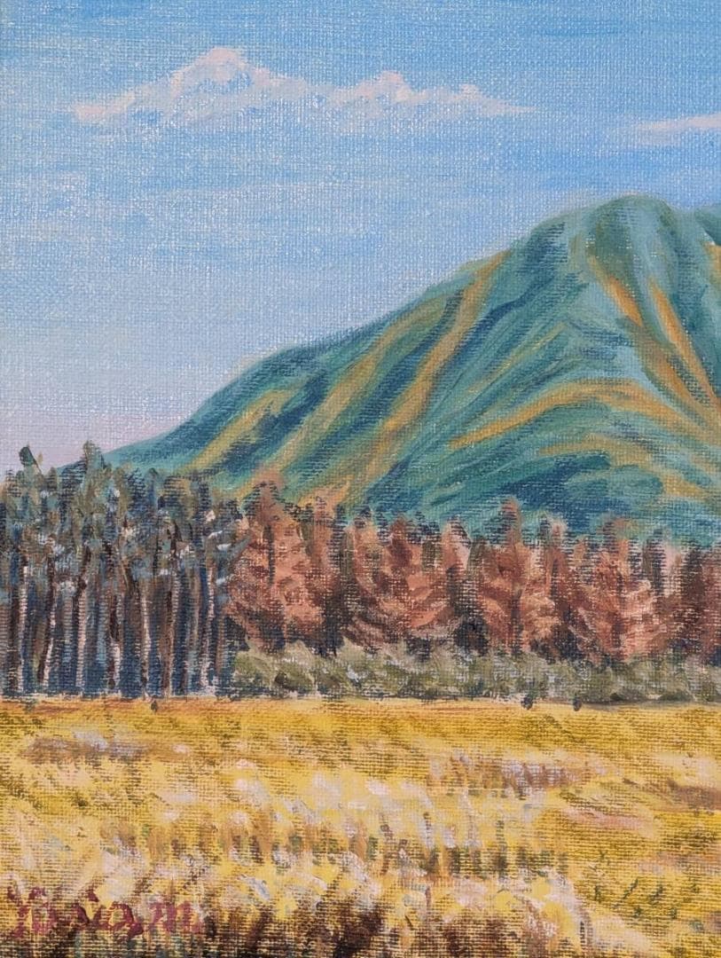 【真作】絵画　水登良雄　油彩4号　日光戦場が原　秋野と山影　油彩風景画　Z110