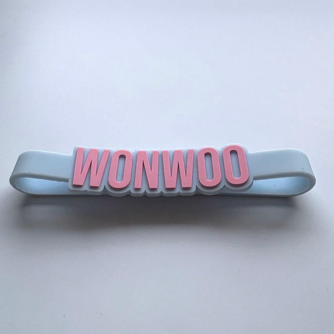 seventeen ペンライトアクセサリー ラバーバンド　ウォヌ