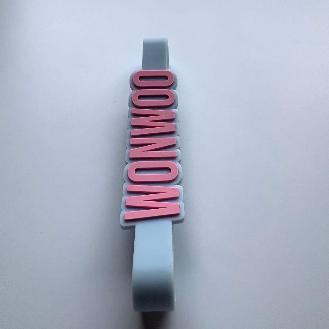 seventeen ペンライトアクセサリー ラバーバンド　ウォヌ
