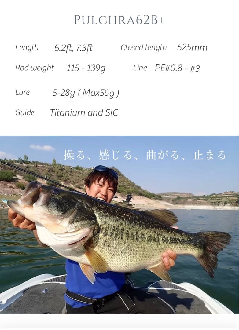 トランスセンデンス　プルクラ62B