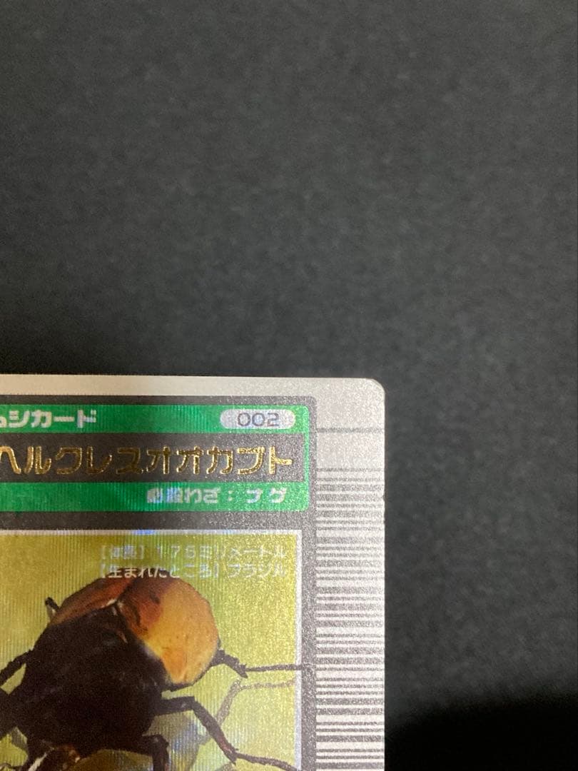 しの様、専用