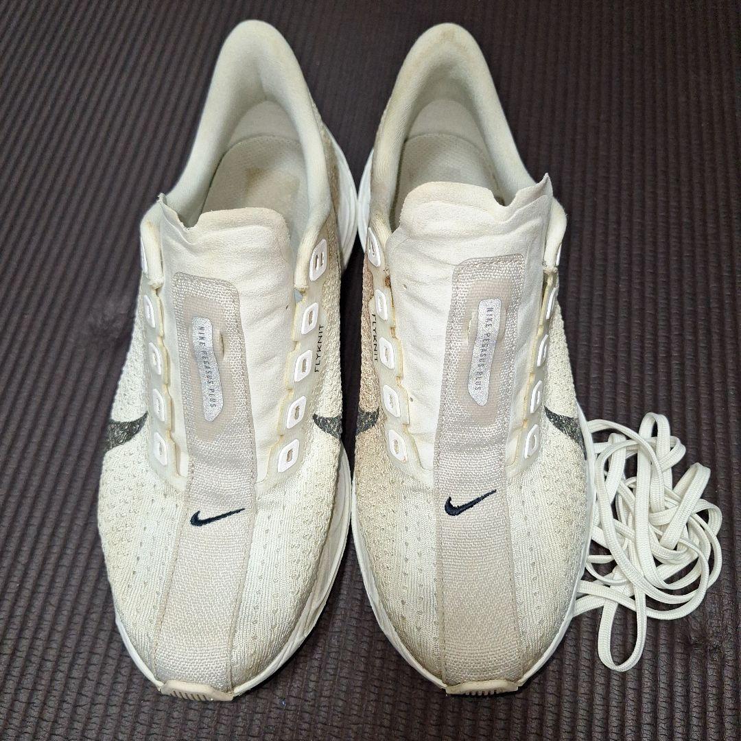 NIKE ペガサスプラス 25cm