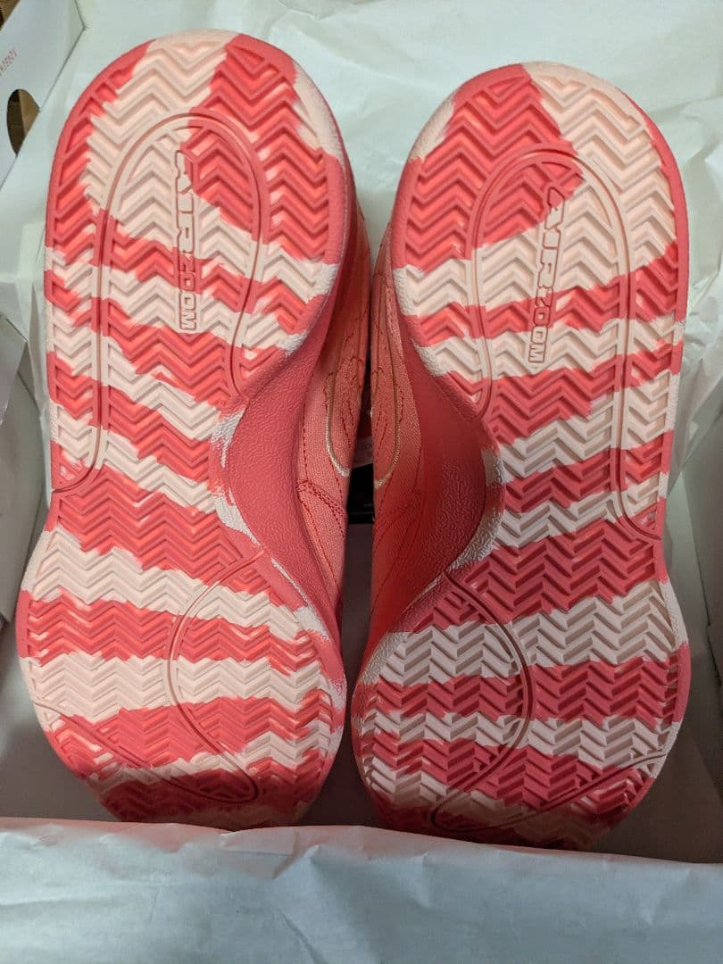 NIKE BOOK1 TEXT EP SEDONA 新品 26cm 箱アリ