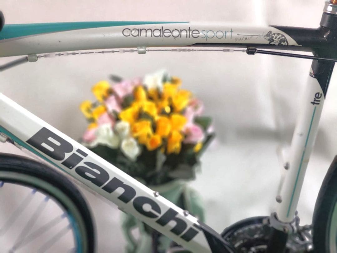 Bianchi camaleonte sport スポーツバイク