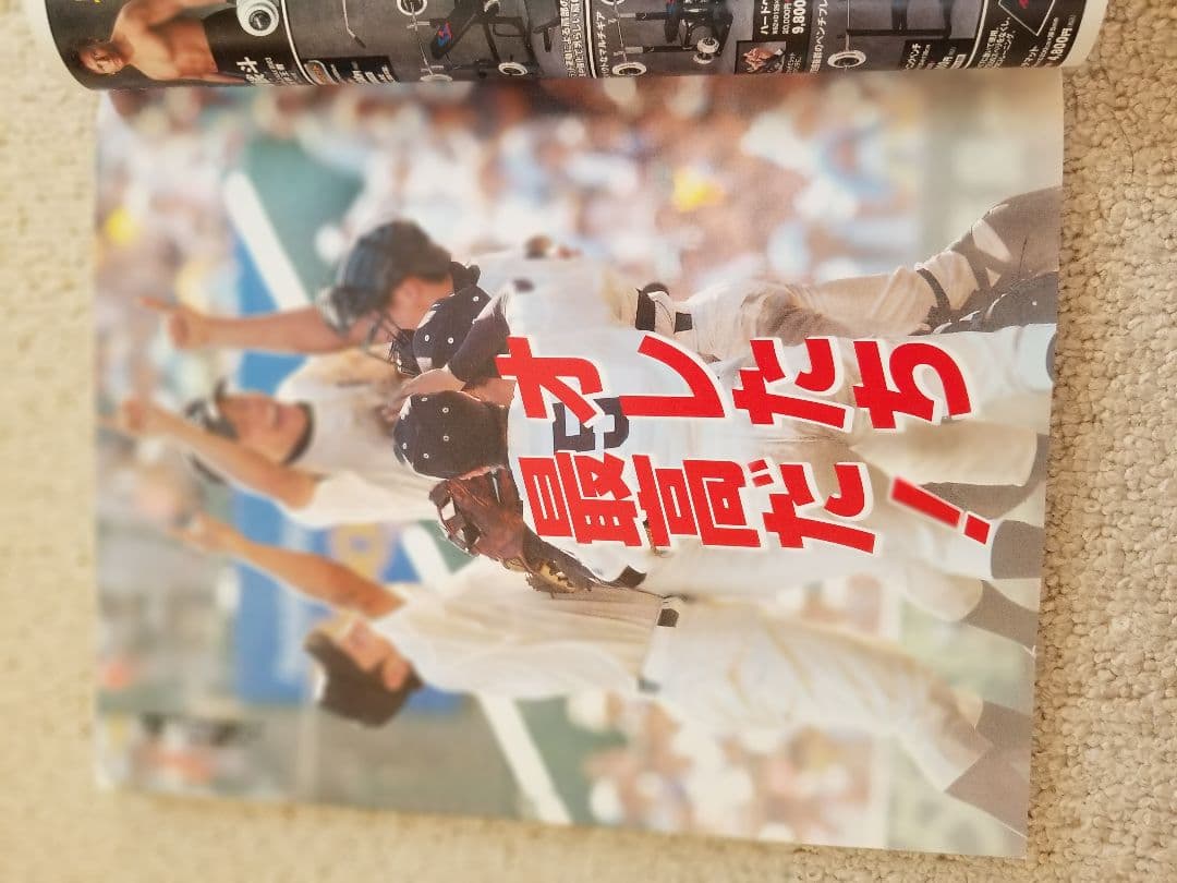 ホームラン2005夏　甲子園大会