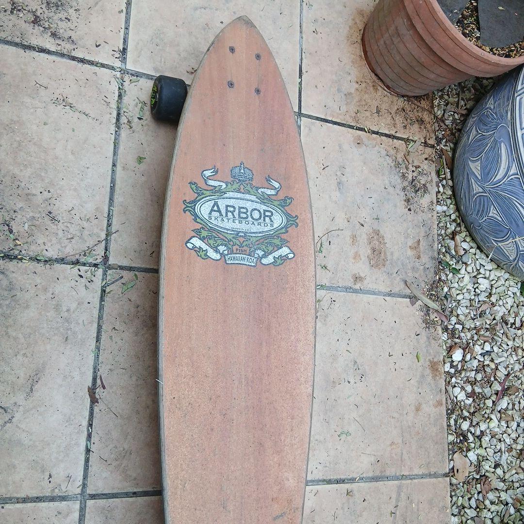Arbor スケートボード　オールドスタイル　サーフィン