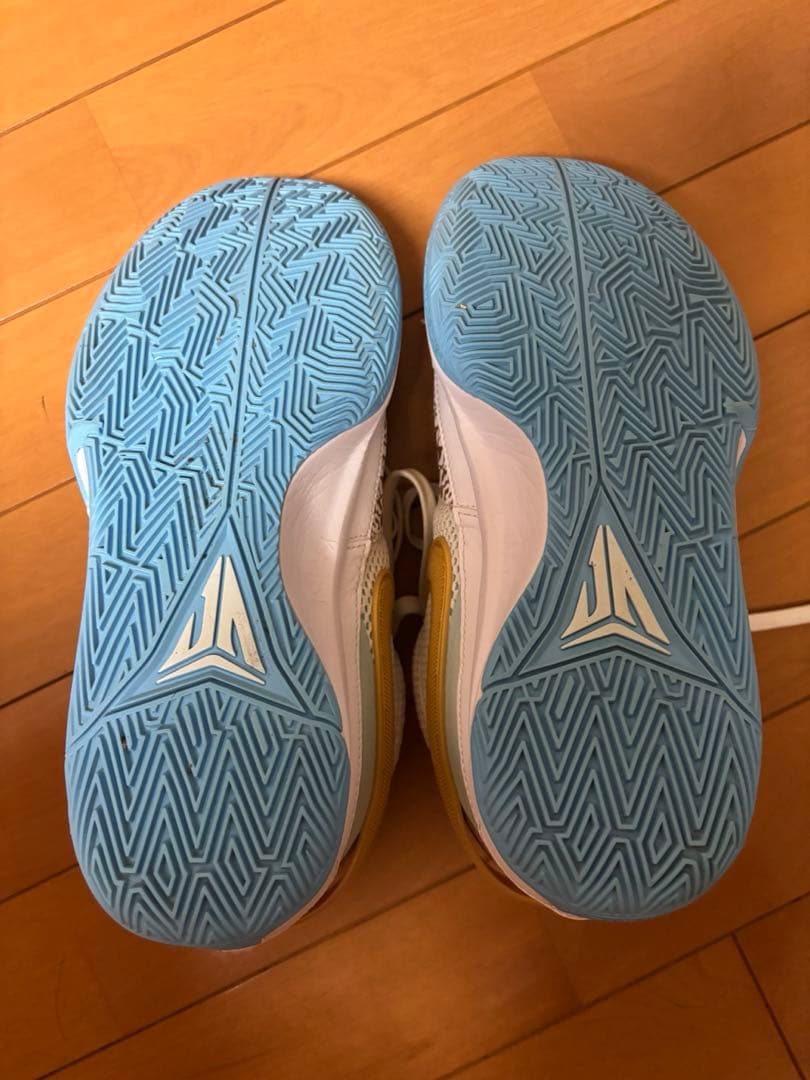 シューズ(男性用) NIKEJA1