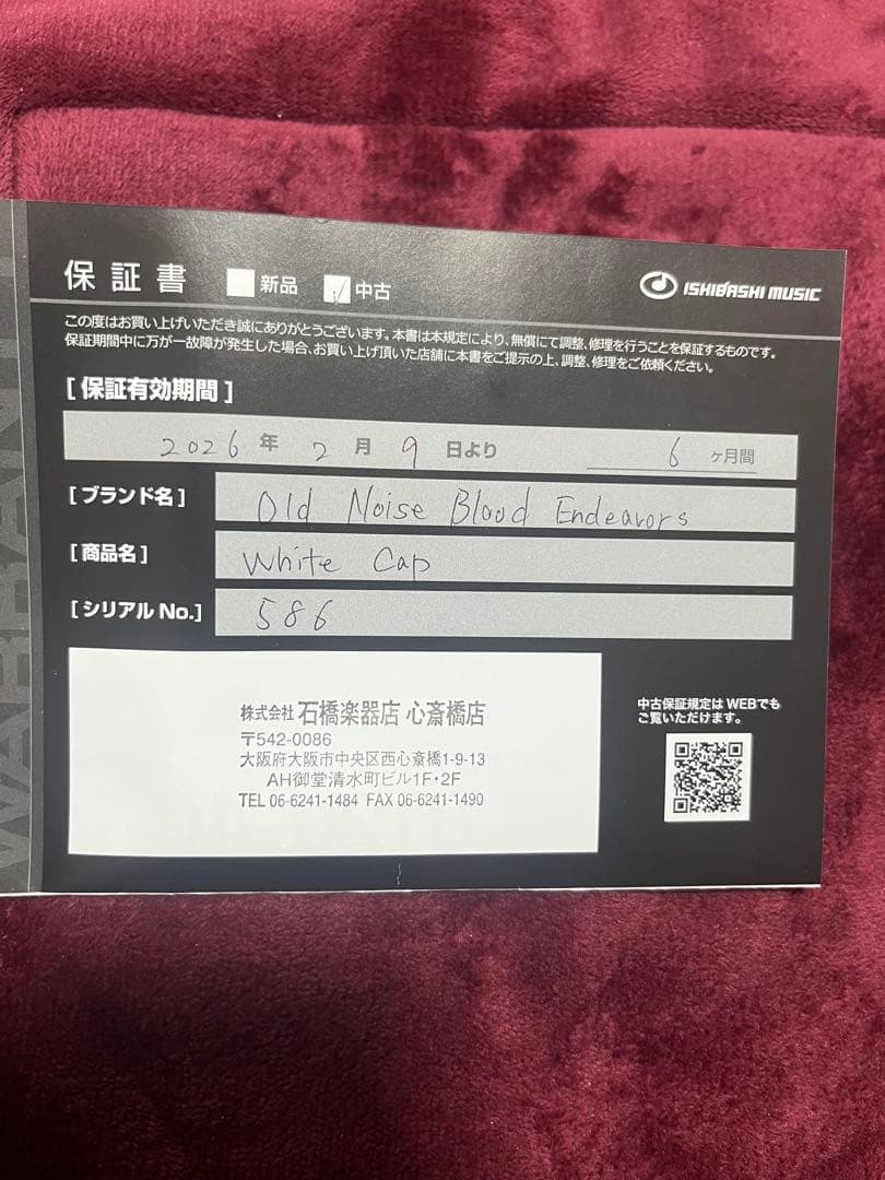 ギター old blood noise endeavors whitecap