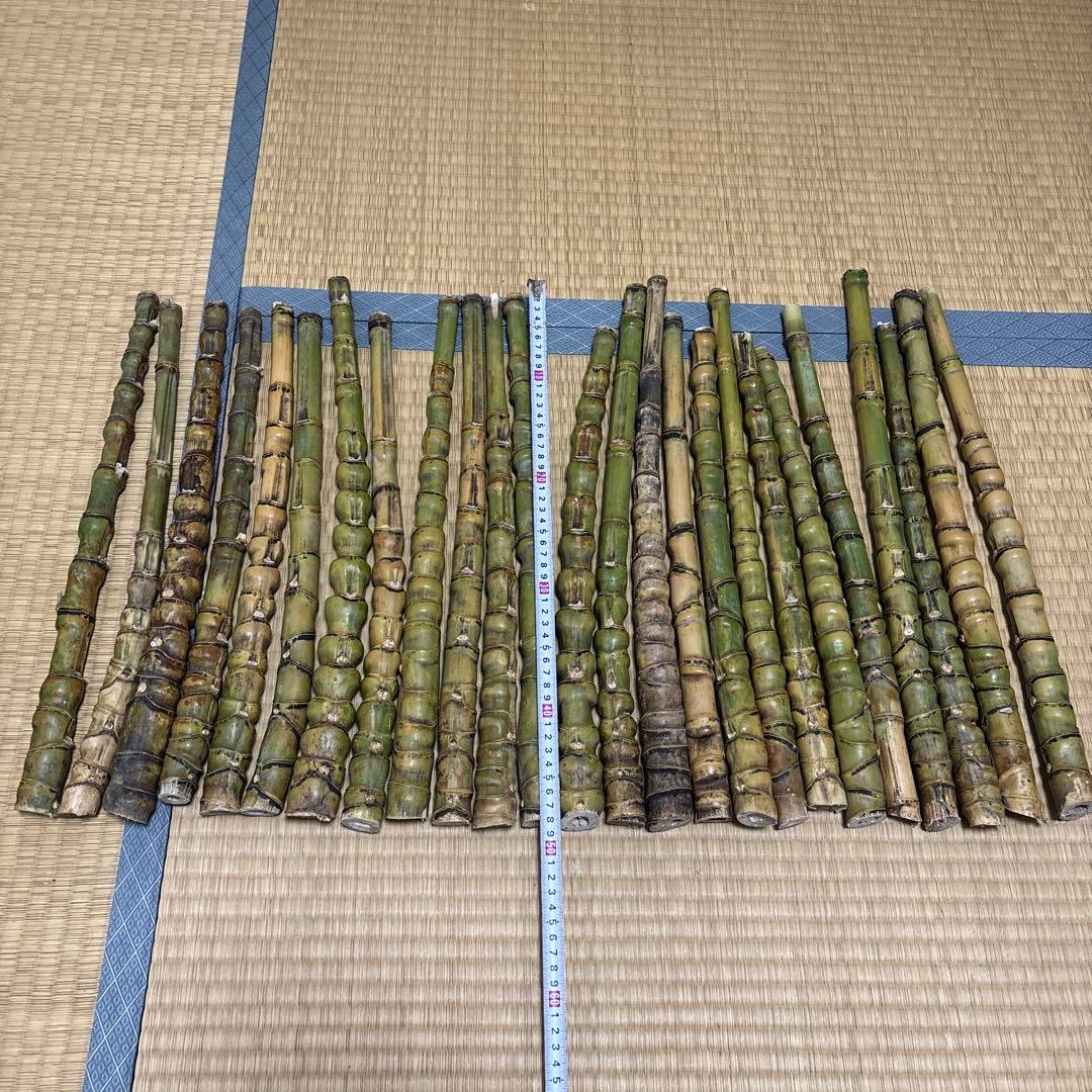 布袋竹 釣りロードグリップ用竹 25本セット400-500mm 40-50cm