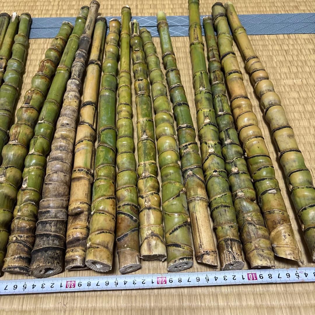 布袋竹 釣りロードグリップ用竹 25本セット400-500mm 40-50cm