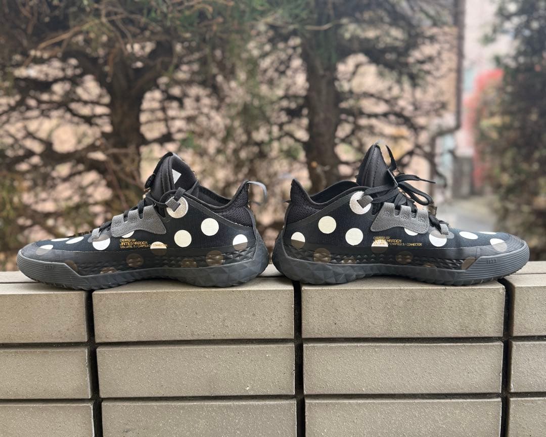 シューズ(男性用) Harden Vol. 5 Futurenatural