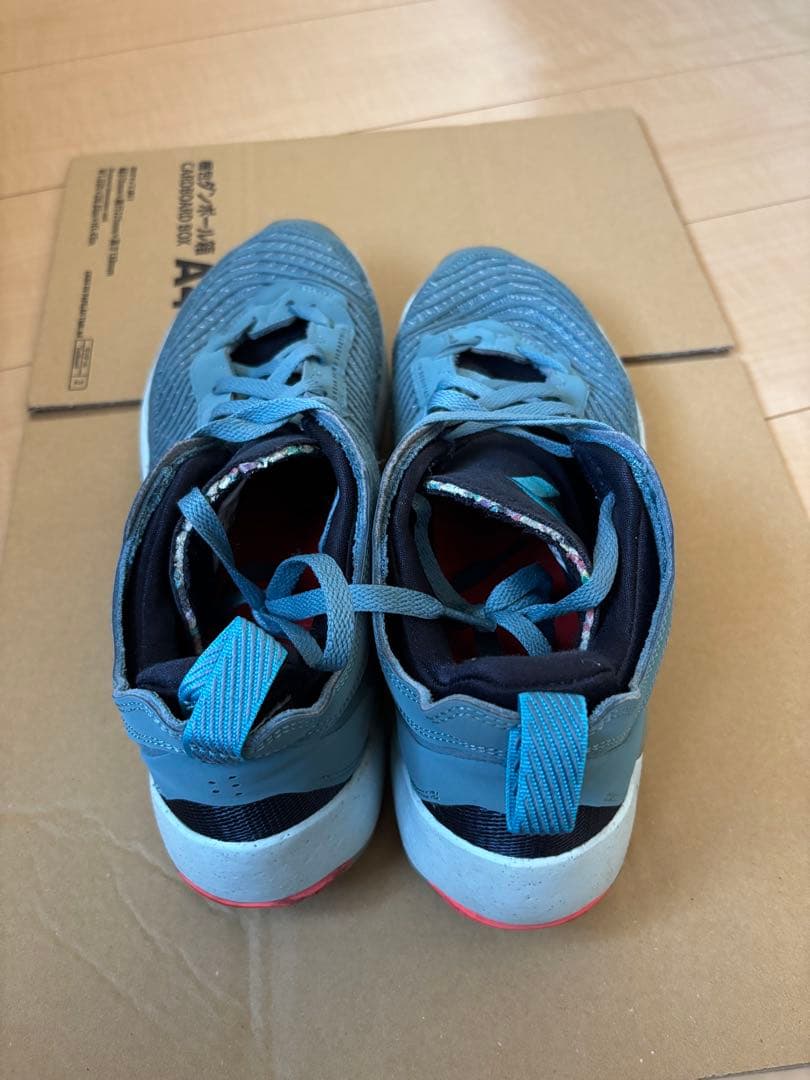 JORDAN Luka1 ルカ1 ドンチッチ