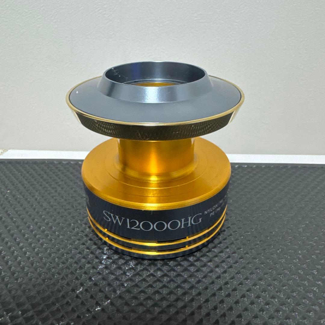 SHIMANO TWIN POWER SW12000HG スプール