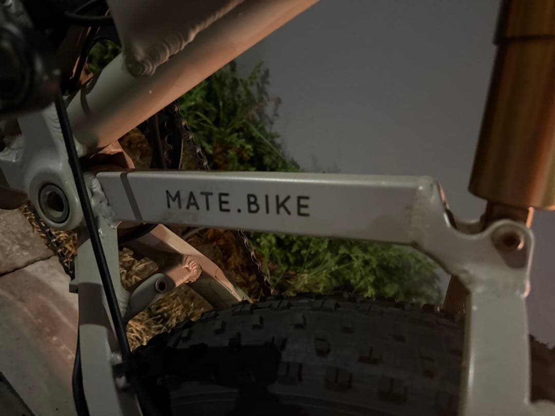 MATE BIKE X 250 メイト電動自転車メイトX