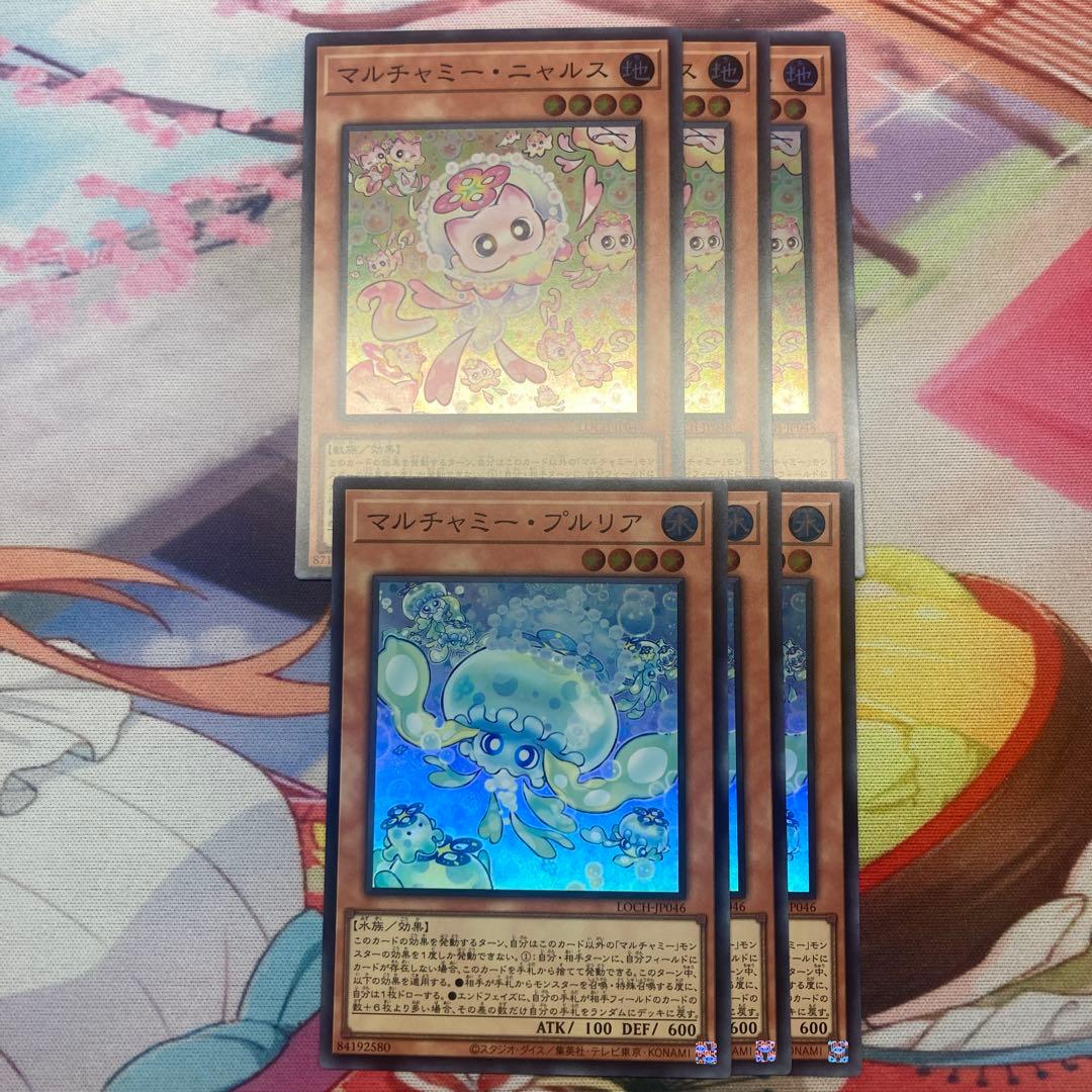 マルチャミーフワロス　プリシク　プルリア　ニャルス